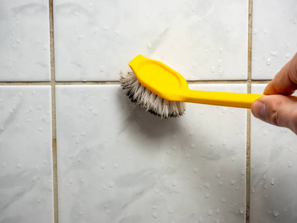 Best Preventive Mold Services in Pilot Mountain, NC