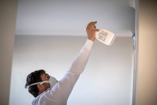 Best Health and Safety Mold Remediation in Pilot Mountain, NC