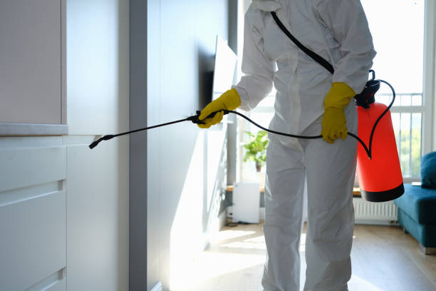 Best HVAC Mold Remediation in Pilot Mountain, NC